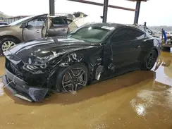 1FA6P8CF9K5146803 2019 FORD MUSTANG