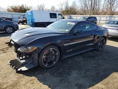 1FA6P8CF9K5163553 2019 FORD MUSTANG