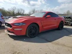 1FA6P8CF9K5194625 2019 FORD MUSTANG