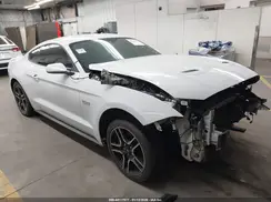 1FA6P8CF9K5196651 2019 FORD MUSTANG