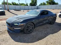 1FA6P8CF9K5202268 2019 FORD MUSTANG