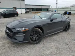1FA6P8CF9L5175459 2020 FORD MUSTANG