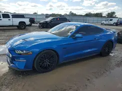 1FA6P8CF9L5176563 2020 FORD MUSTANG