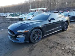 1FA6P8CFXK5105824 2019 FORD MUSTANG