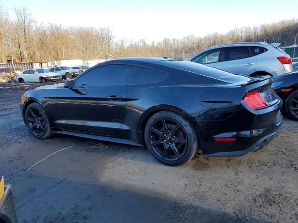 1FA6P8CFXK5105824 2019 FORD MUSTANG - Image 2