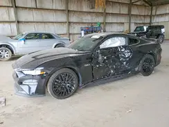1FA6P8CFXK5106651 2019 FORD MUSTANG