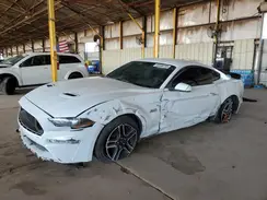 1FA6P8CFXK5109047 2019 FORD MUSTANG
