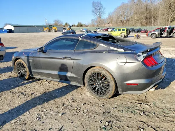 1FA6P8CFXK5116502 2019 FORD MUSTANG - Image 2