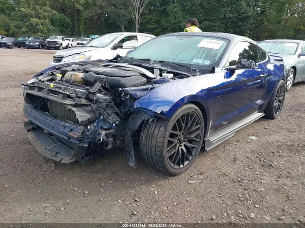 1FA6P8CFXK5120629 2019 FORD MUSTANG - Image 2
