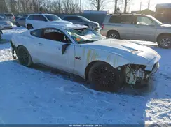1FA6P8CFXK5133509 2019 FORD MUSTANG