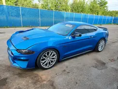 1FA6P8CFXK5154795 2019 FORD MUSTANG