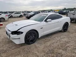 1FA6P8CFXK5156823 2019 FORD MUSTANG