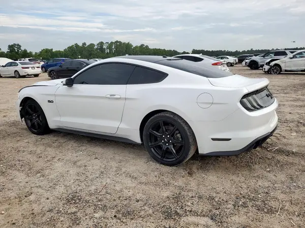 1FA6P8CFXK5156823 2019 FORD MUSTANG - Image 2