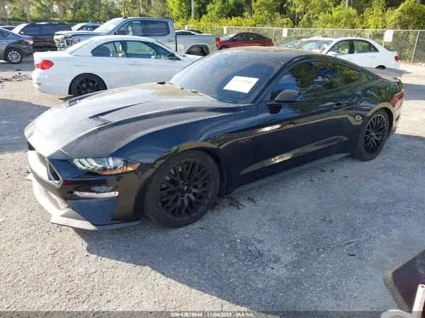 1FA6P8CFXK5173167 2019 FORD MUSTANG - Image 2