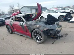 1FA6P8CFXK5189403 2019 FORD MUSTANG