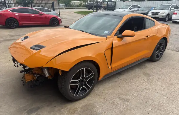 1FA6P8CFXK5196514 2019 FORD MUSTANG - Image 2