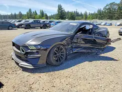1FA6P8CFXK5196724 2019 FORD MUSTANG