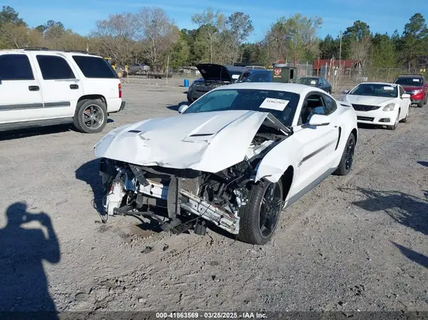 1FA6P8CFXK5203249 2019 FORD MUSTANG - Image 2