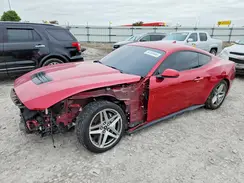 1FA6P8CFXR5409519 2024 FORD MUSTANG