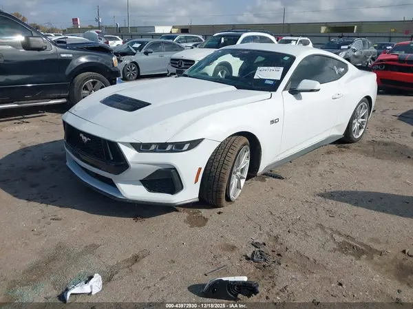 1FA6P8CFXR5412159 2024 FORD MUSTANG - Image 2