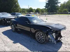 1FA6P8CFXR5421895 2024 FORD MUSTANG