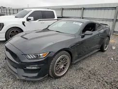 1FA6P8JZ3K5550192 2019 FORD MUSTANG