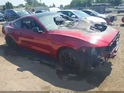 1FA6P8JZ6K5553023 2019 FORD MUSTANG