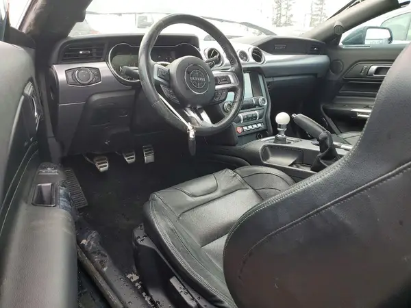 1FA6P8K00K5505484 2019 FORD MUSTANG - Image 8