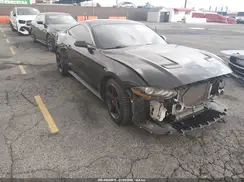 1FA6P8K01K5502206 2019 FORD MUSTANG