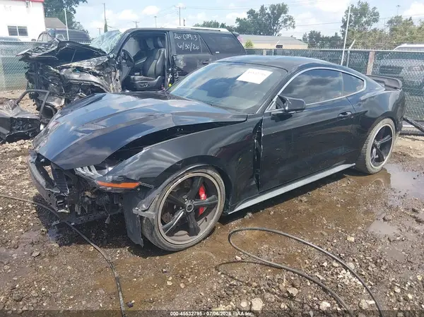 1FA6P8K01K5506322 2019 FORD MUSTANG - Image 2