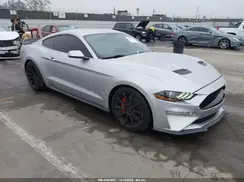 1FA6P8K02K5505552 2019 FORD MUSTANG
