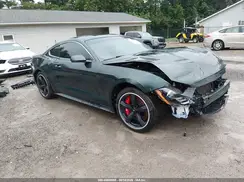 1FA6P8K03K5503180 2019 FORD MUSTANG