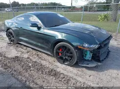 1FA6P8K04K5502541 2019 FORD MUSTANG