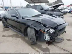 1FA6P8K08K5505359 2019 FORD MUSTANG