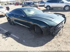 1FA6P8K08K5506074 2019 FORD MUSTANG