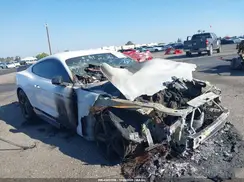 1FA6P8R05M5555998 2021 FORD MUSTANG