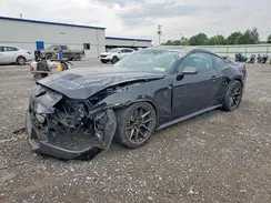 1FA6P8R05R5507943 2024 FORD MUSTANG