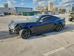 1FA6P8R08R5503563 2024 FORD MUSTANG