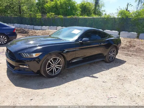 1FA6P8TH0G5222059 2016 FORD MUSTANG - Image 2