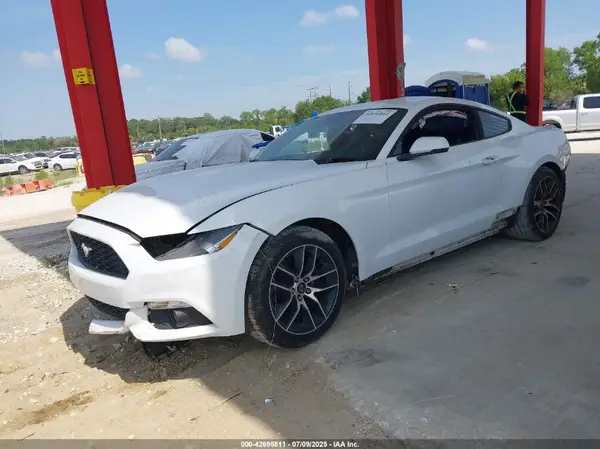 1FA6P8TH0H5205053 2017 FORD MUSTANG - Image 2