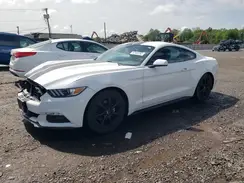 1FA6P8TH0H5246959 2017 FORD MUSTANG
