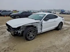 1FA6P8TH0H5312667 2017 FORD MUSTANG