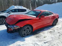 1FA6P8TH0K5103100 2019 FORD MUSTANG