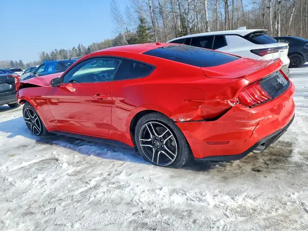 1FA6P8TH0K5103100 2019 FORD MUSTANG - Image 2