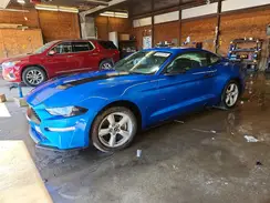 1FA6P8TH0K5103453 2019 FORD MUSTANG