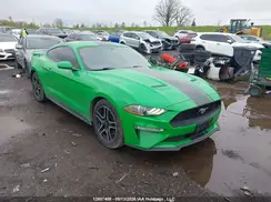 1FA6P8TH0K5104960 2019 FORD MUSTANG