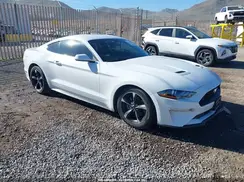 1FA6P8TH0K5106384 2019 FORD MUSTANG