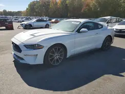 1FA6P8TH0K5116882 2019 FORD MUSTANG