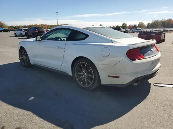 1FA6P8TH0K5116882 2019 FORD MUSTANG - Image 2