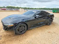 1FA6P8TH0K5116929 2019 FORD MUSTANG